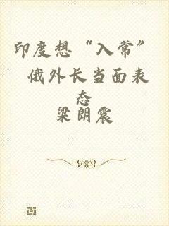 印度想“入常” 俄外长当面表态